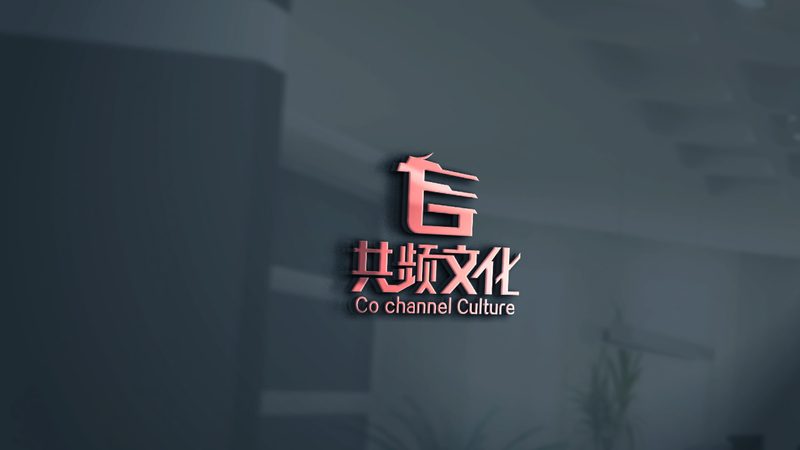 服装行业短视频运营：代运营与自运营的差异化解析