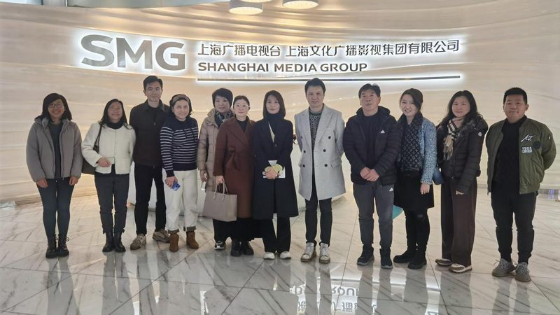品牌策划与设计报价：揭秘背后的逻辑与考量